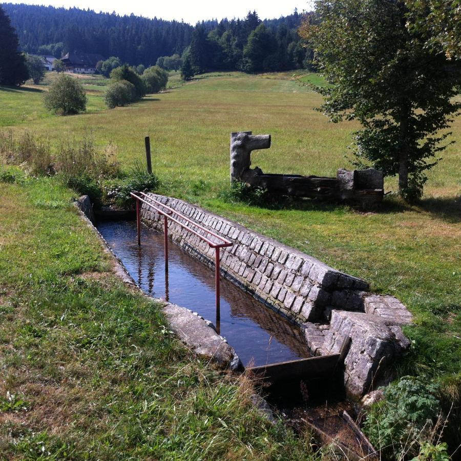 Ferienwohnung Waldblick تودتناو المظهر الخارجي الصورة