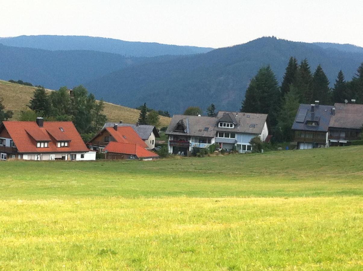 Ferienwohnung Waldblick تودتناو المظهر الخارجي الصورة