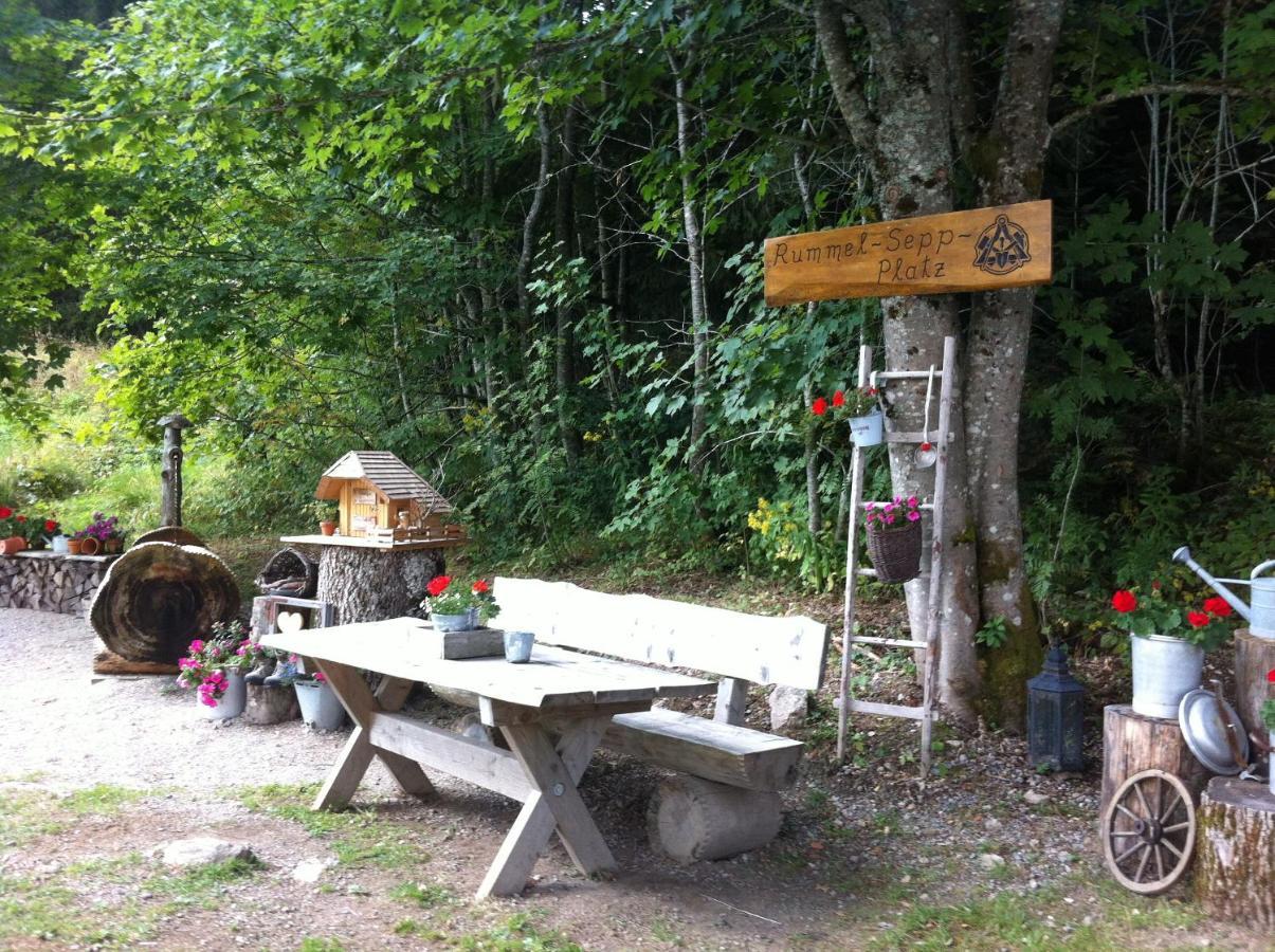 Ferienwohnung Waldblick تودتناو المظهر الخارجي الصورة